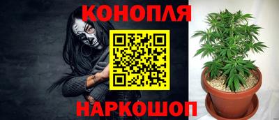 apvp Сосновоборск