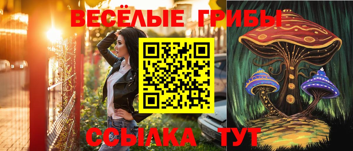 Галлюциногенные грибы мицелий  где купить наркоту  Вышний Волочёк  Вход с VPN 